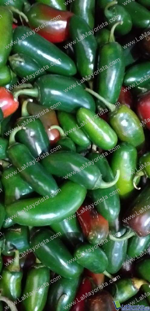 Aji referencia jalapeño