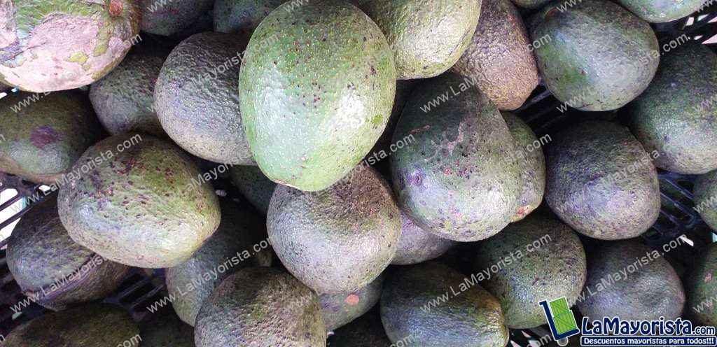 Aguacate fuerte ( guatemalteco)