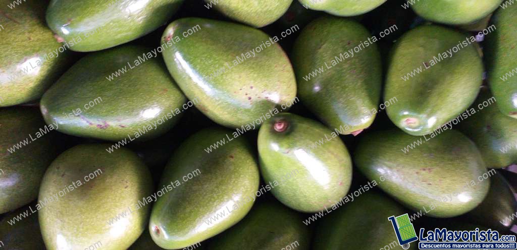 Aguacate papelillo