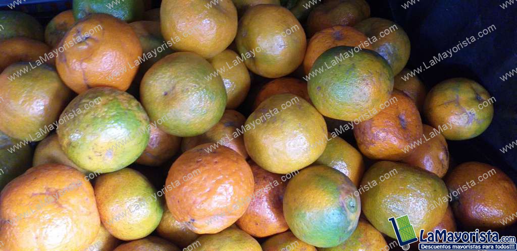 Manadarina oneca