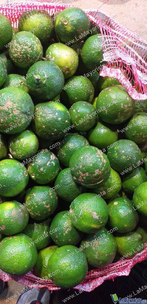 Limon mandarino