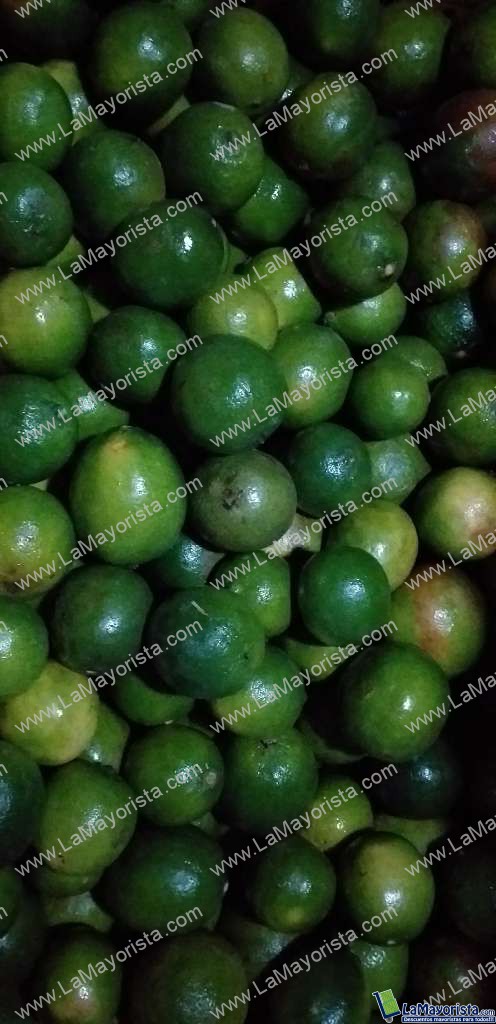Limon tahiti