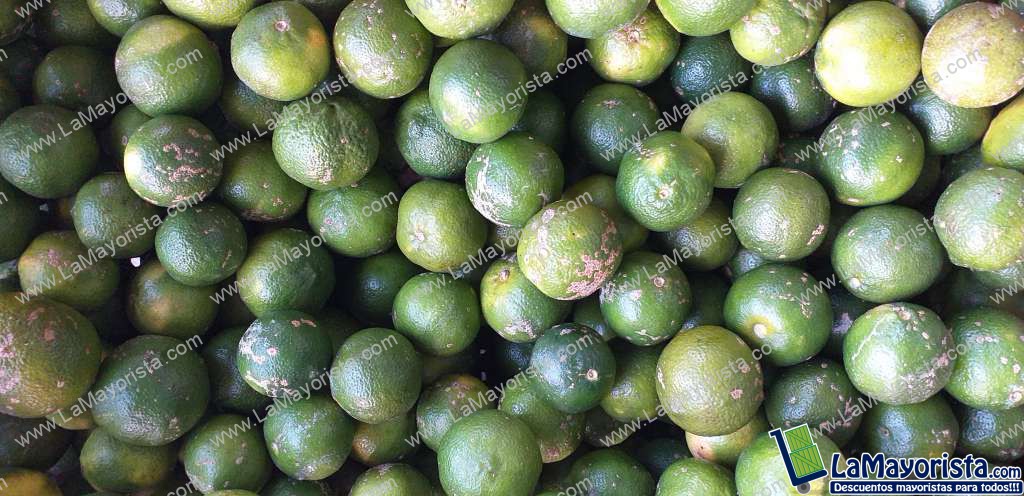 Limon mandarino