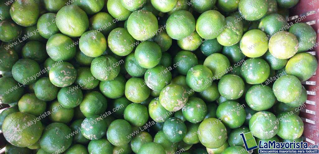 Limon mandarino