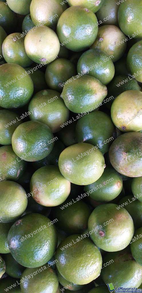 Limon tahiti