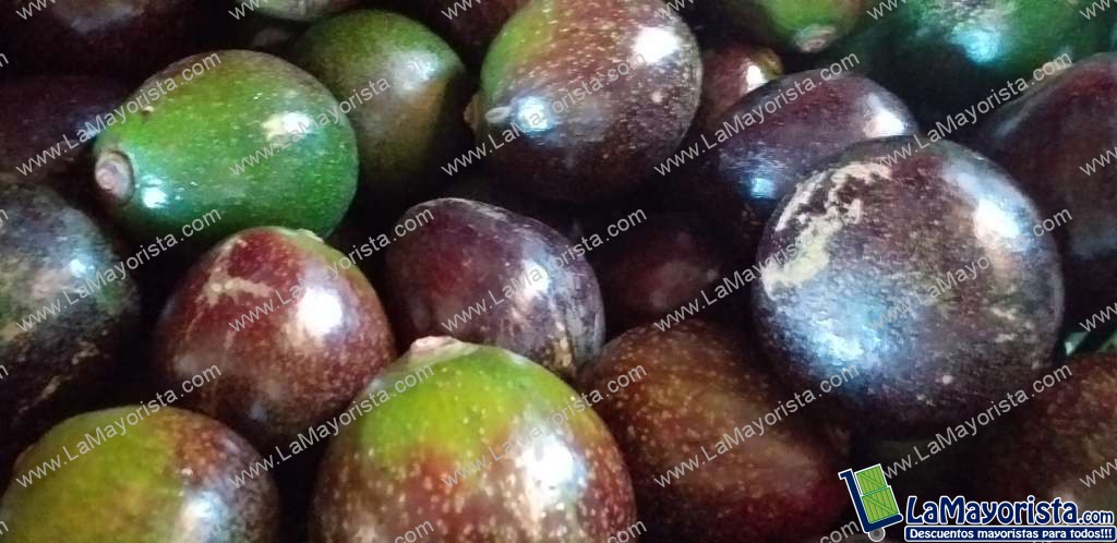 Aguacate collin reeds