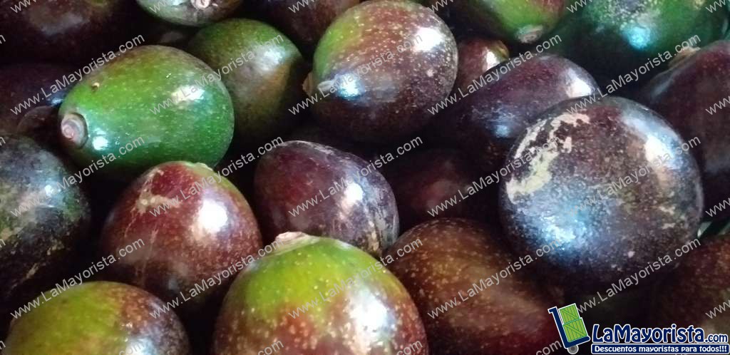 Aguacate collin reeds