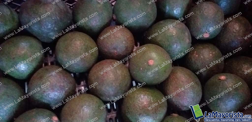 Aguacate reeds