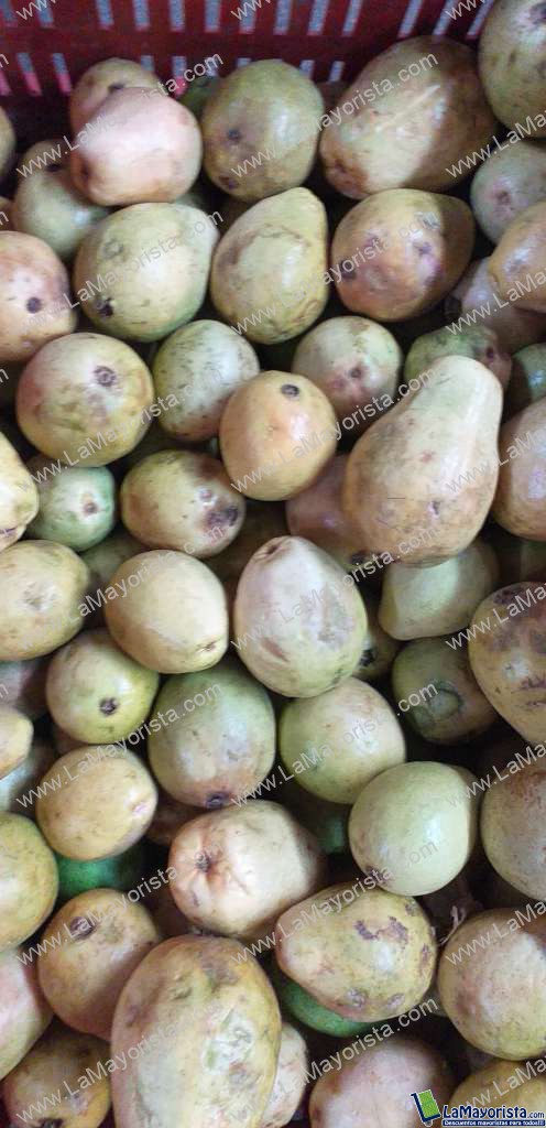 Guayaba