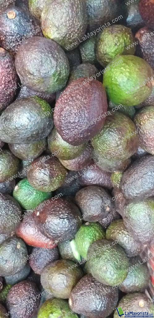 Aguacate hass