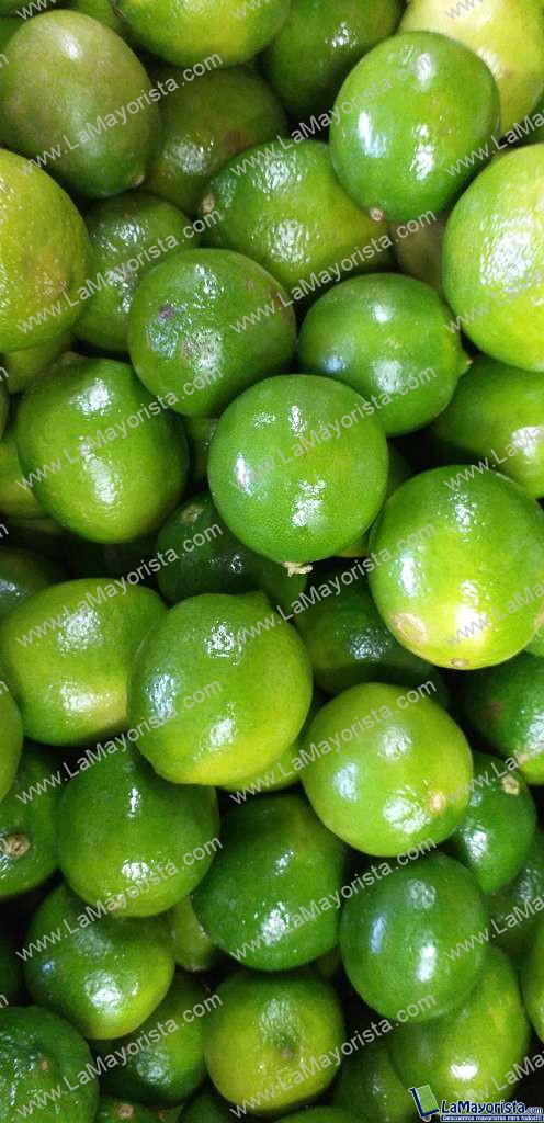 Limon tahiti