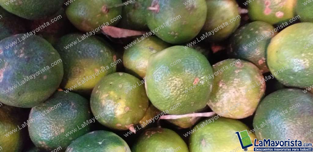 Limon mandarino