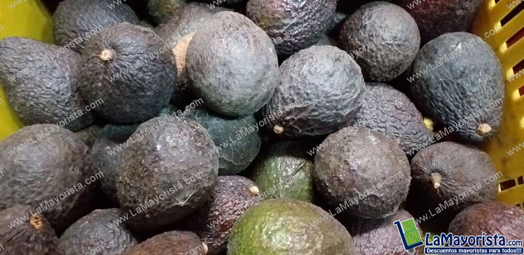 Aguacate hass