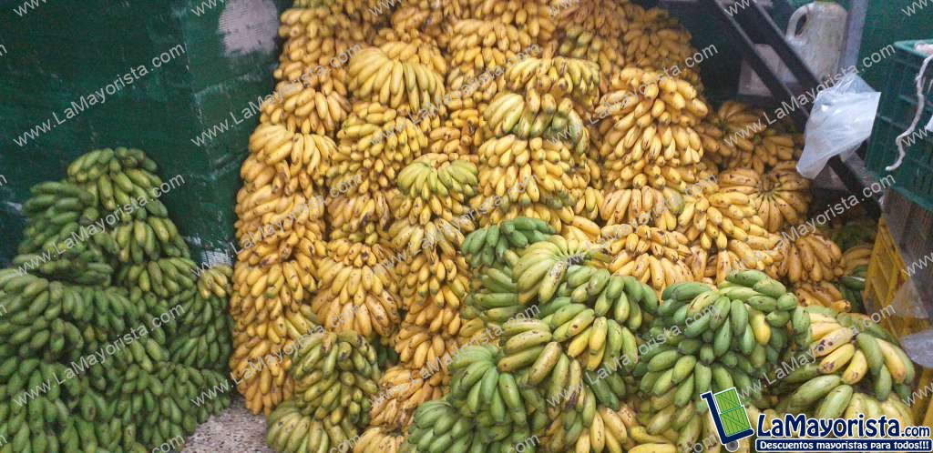 Murrapo