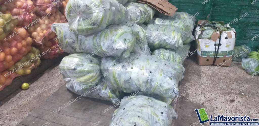 Platano verde