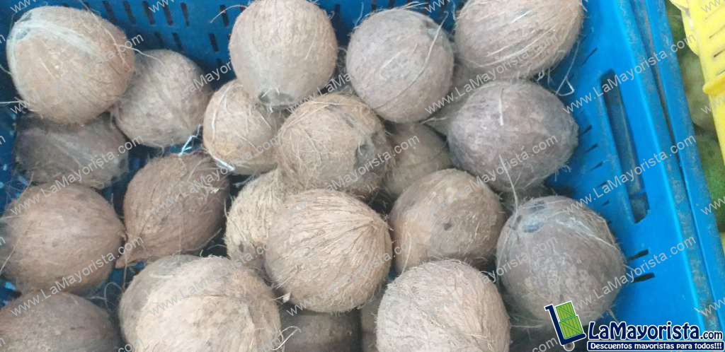 Coco referencia grande