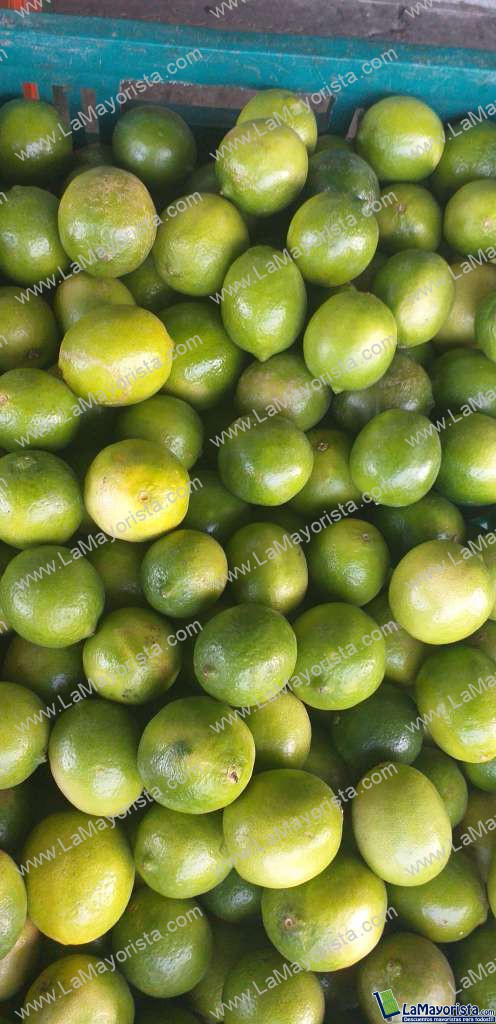 Limon tahiti