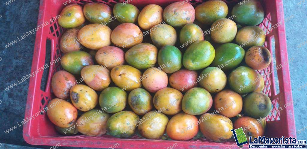 Mango criollo