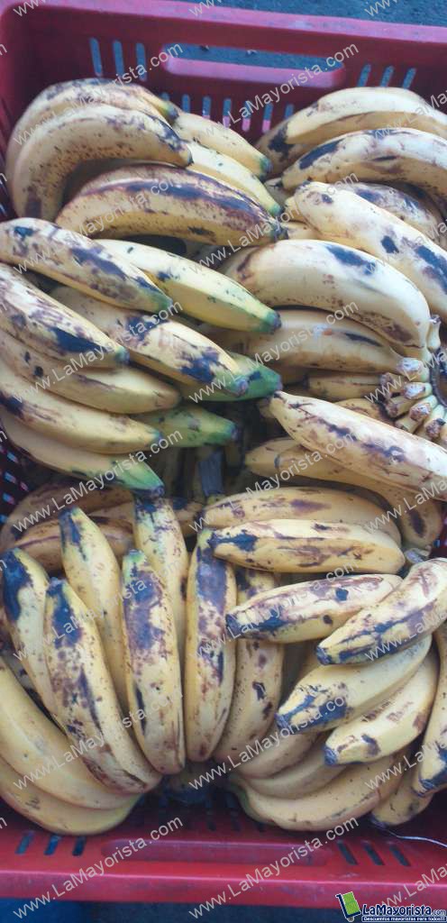 Banano