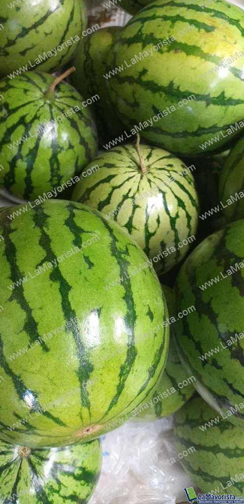 Sandia baby