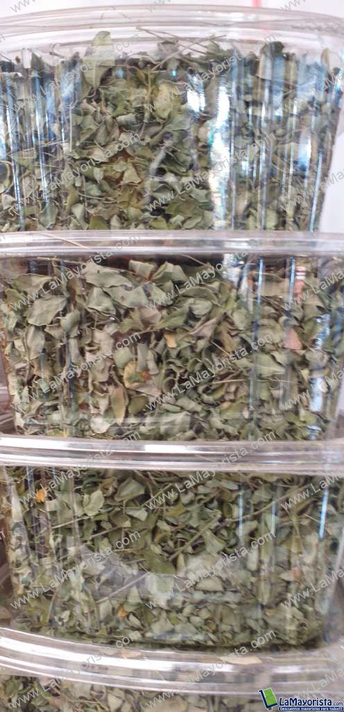 Moringa
