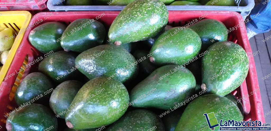 Aguacate santana