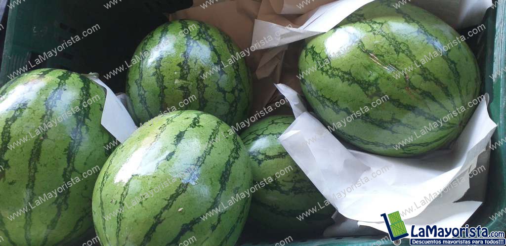 Sandia baby