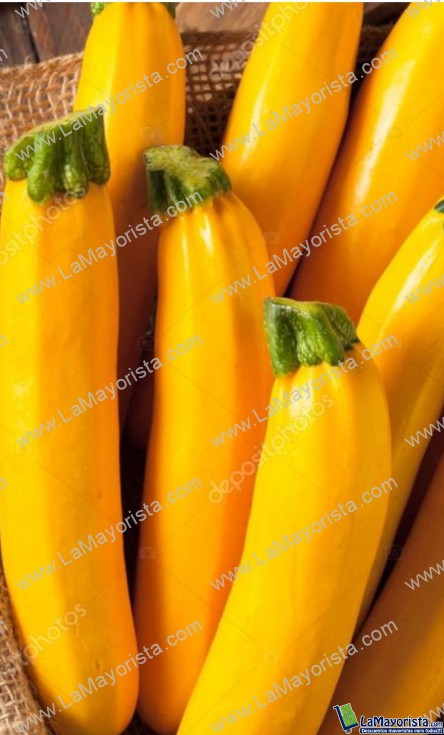 Zucchini