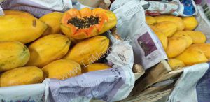 Papaya valenciana