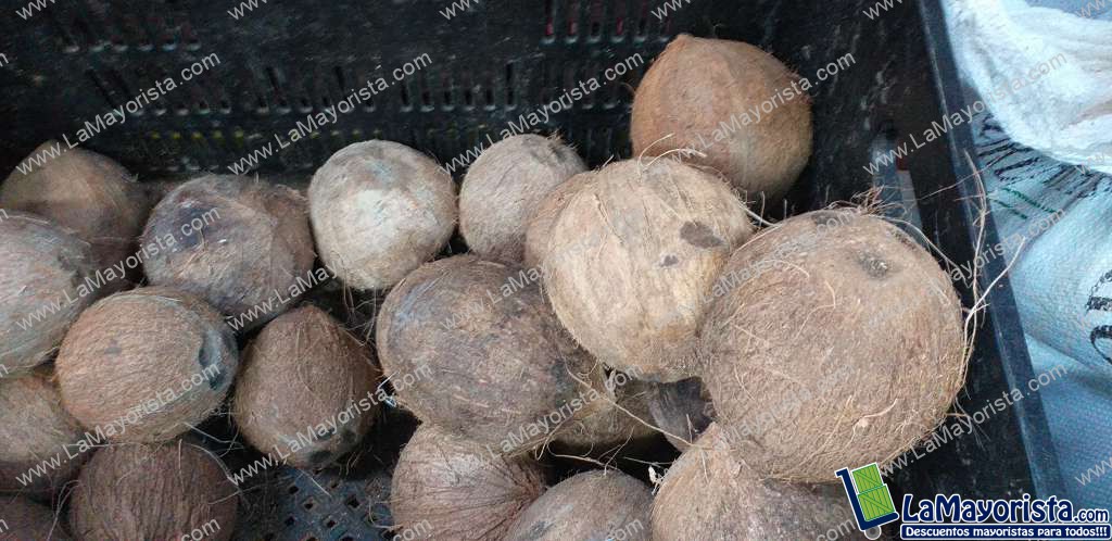 Coco referencia grande