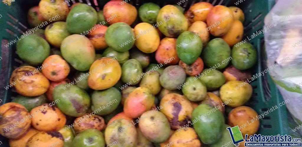 Mango criollo