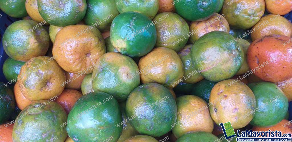 Mandarina oneca