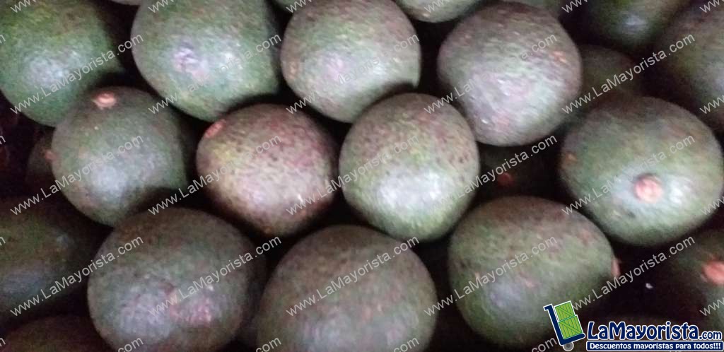 Aguacate fuerte ( guatemalteco)