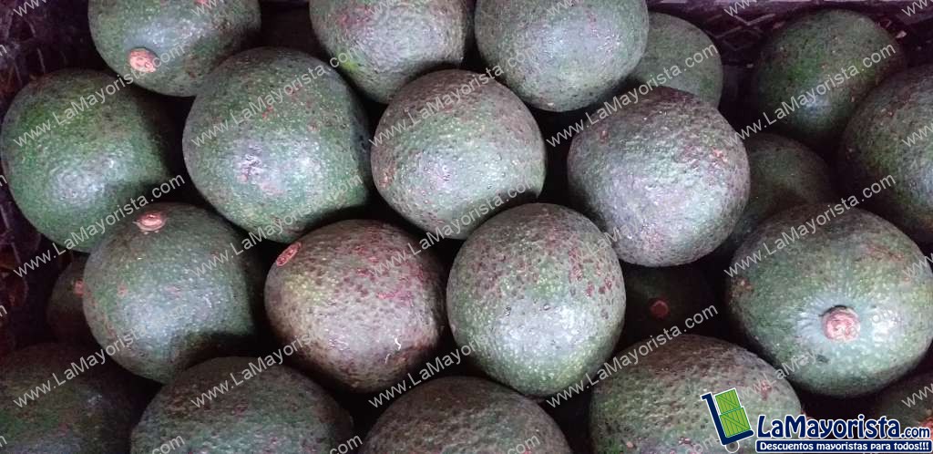 Aguacate fuerte ( guatemalteco)