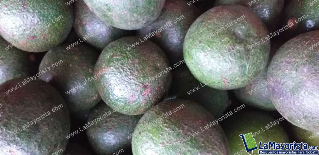 Aguacate collin reeds