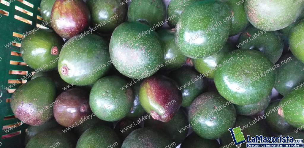 Aguacate collin