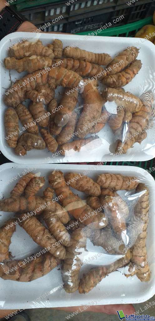 Curcuma
