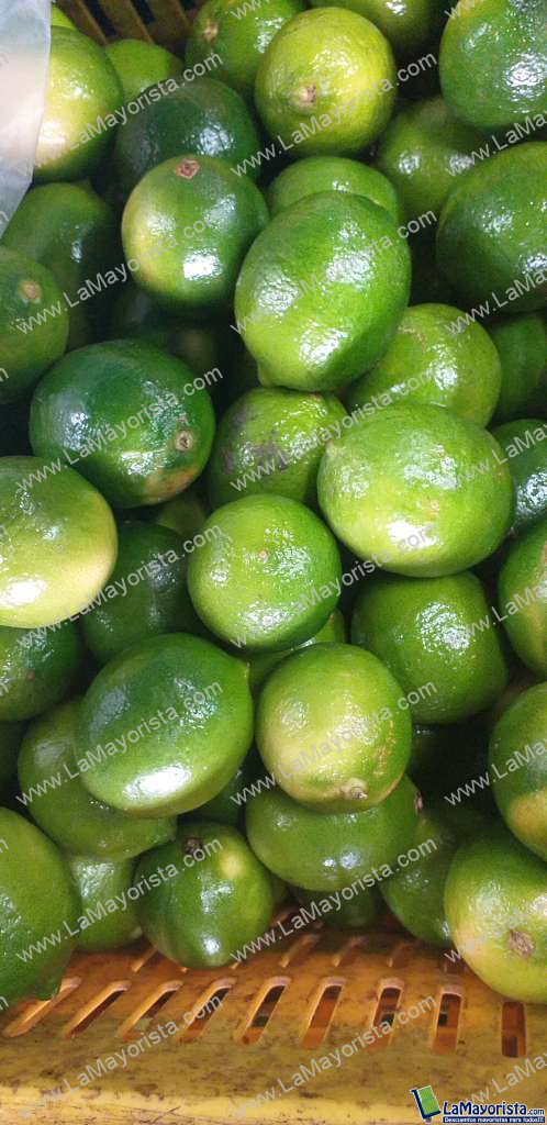 Limon tahiti