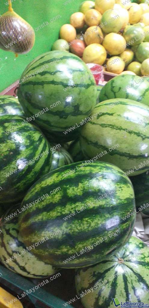 Sandia baby