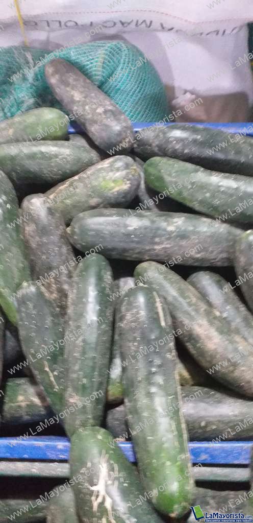 Pepino