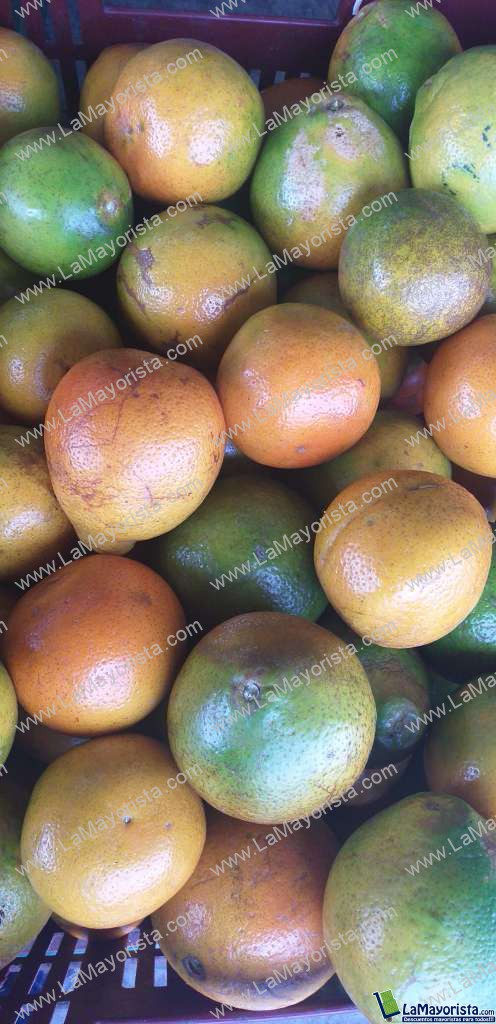 Naranja tangelo