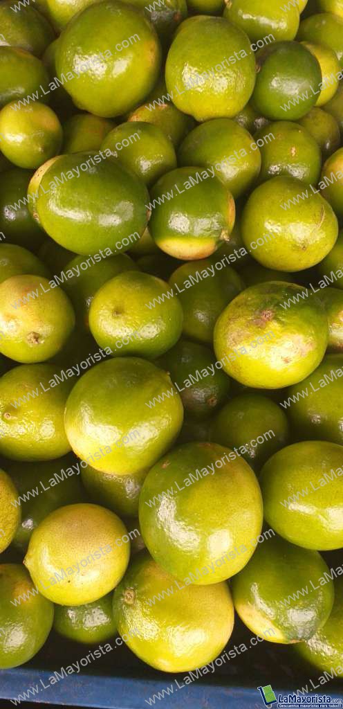 Limon tahiti