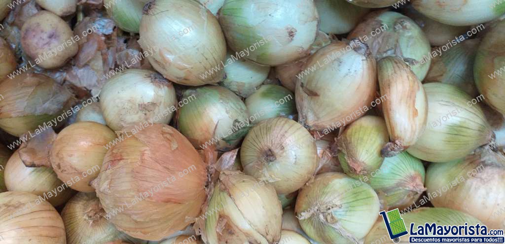 Cebolla huevo blanca