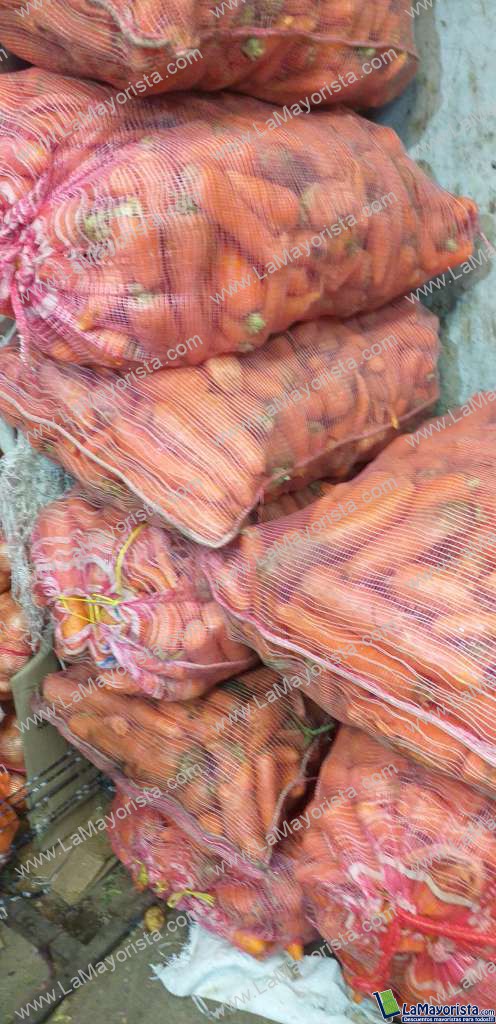 Zanahoria para caballo