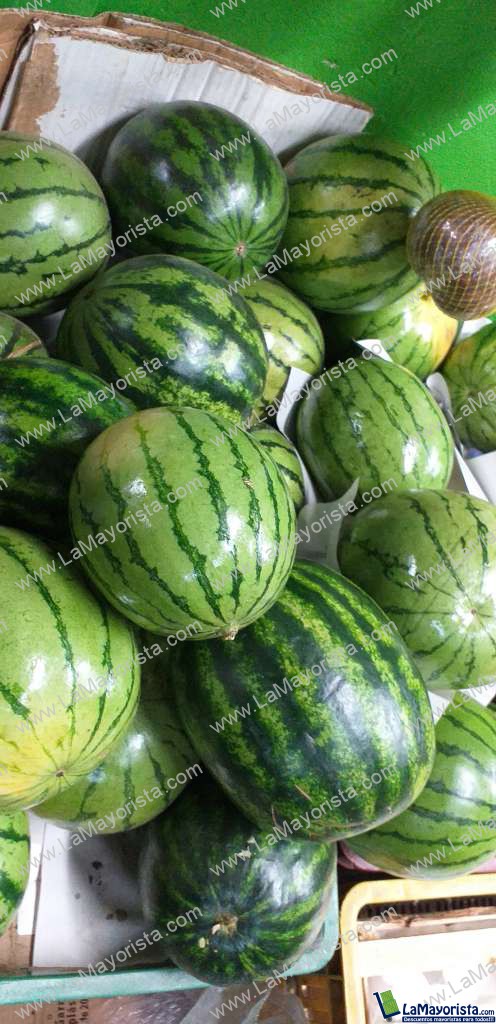 Sandia baby