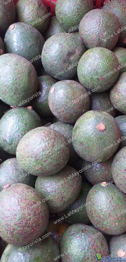 Aguacate collin reeds