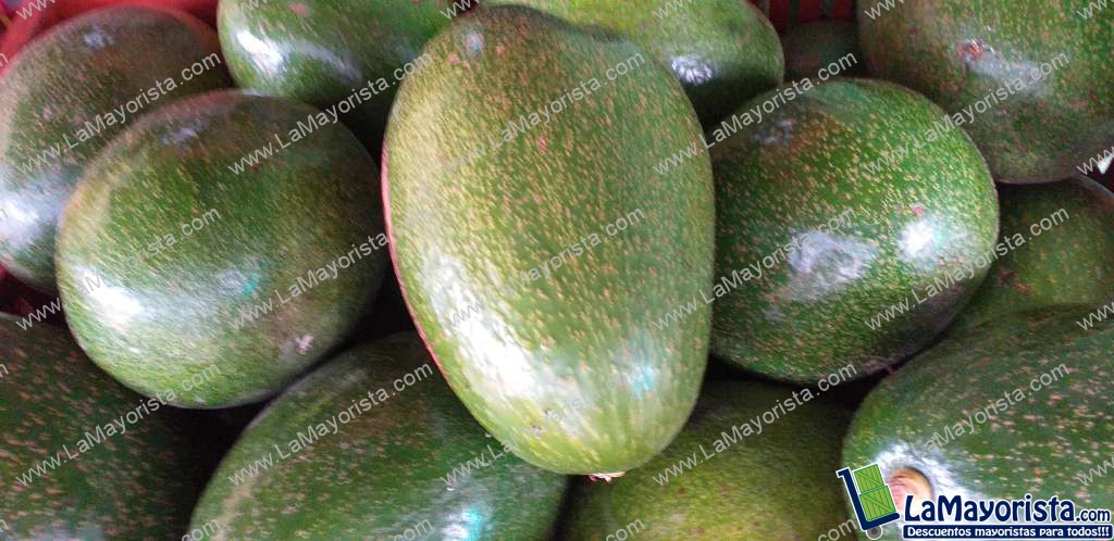 Aguacate choquett