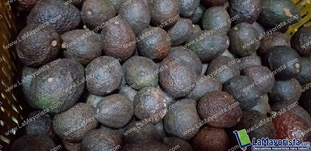 Aguacate hass