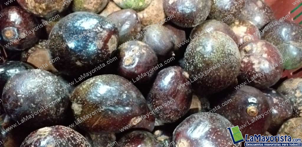 Aguacate colin reed
