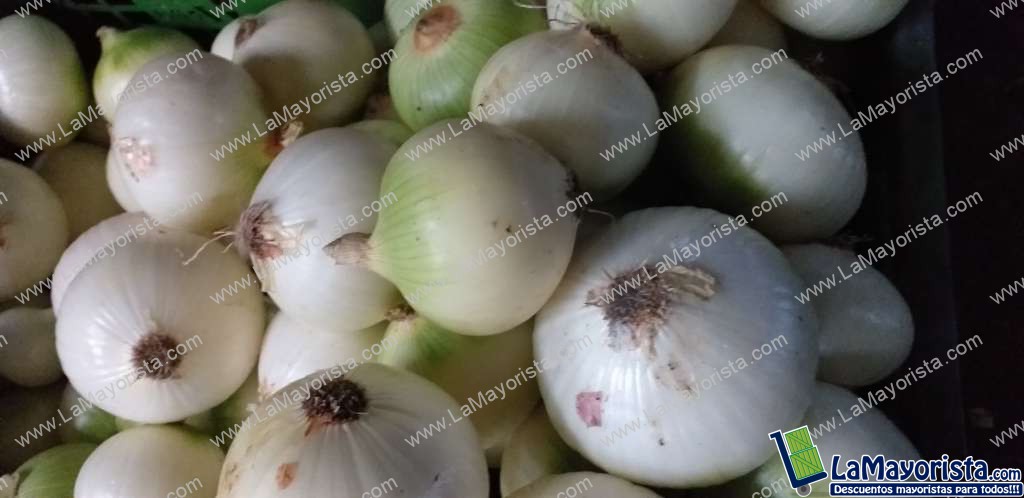 Cebolla de huevo blanca
